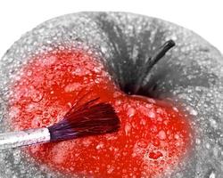 rood appel en borstel. foto