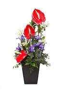 geschenk boeket van calla bloemen met andere bloemen in een pot. foto