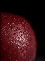 macro schot van rood sappig appel met druppels van water Aan een zwart achtergrond. isoleren. kopiëren ruimte. dichtbij omhoog foto