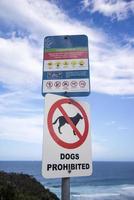 teken op Australische strand foto
