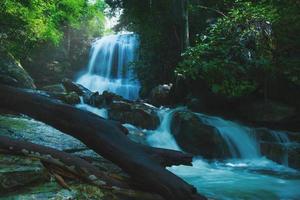 waterval in het wild foto