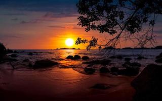 dramatisch zonsondergang Bij strand met een boom en rotsen foto