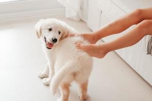 puppy huisdier hond gouden retriever Aan verdieping Bij huis en kinderen kaal voeten wit beige natuurlijk pastel colores keramisch of porselein schoon verdieping tegel kind Speel kinderen vriend kind warm voeten foto