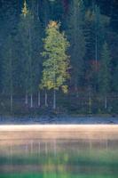 een nevelig berg meer in de ochtend- foto