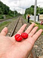 de nu al rood kerrie fruit is in de palm van de hand- met de achtergrond in de midden- van de wazig spoorweg sporen foto