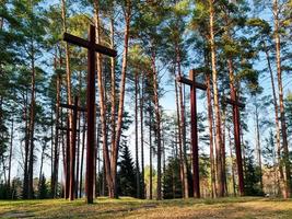 hoog kruisen tussen de bomen Bij Pools leger begraafplaats. gedenkteken naar de tweede wereld oorlog. foto