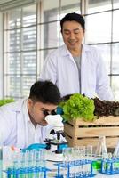 wetenschapper team aan het doen experiment in landbouw laboratorium naar ontwikkelen genetisch wijziging gewassen foto