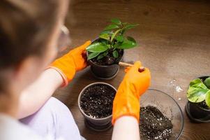 schattig meisje in rubber handschoenen planten een ingemaakt binnen- bloem foto