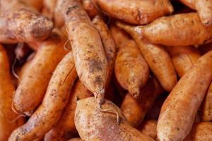 stack van patate carottes Aan een markt kraam foto