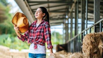 portret van moe jong Aziatisch boer vrouw werken in stal Aan zuivel boerderij. landbouw industrie, landbouw, mensen, technologie en dier veeteelt concept. foto