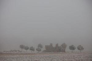 een bevroren dennenbos op een winterochtend in Castilla