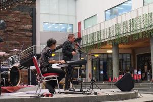 musical prestatie Aan de stadium met zanger en pianist foto