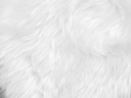 witte schone wol textuur achtergrond. lichte natuurlijke schapenwol. witte naadloze katoen. textuur van pluizige vacht voor ontwerpers. close-up fragment wit wollen tapijt. foto