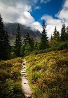 wandelpad met uitzicht op de bergen foto