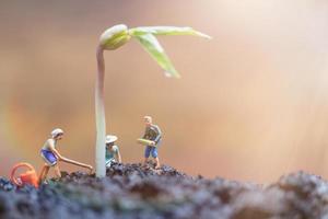 miniatuur tuinders die voor het kweken van spruiten in een veld, milieuconcept zorgen foto