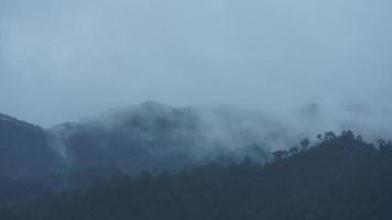 de mooi bergen visie met de mist gedurende de regenachtig dag foto