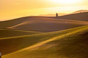 landschap scènes in palouse Washington foto