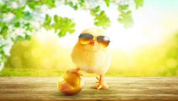 grappige schattige baby chick met zonnebril en ei. foto