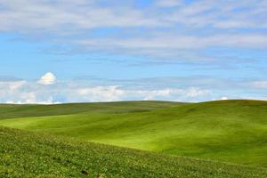 de eindeloos, groen kalajun prairie in xinjiang foto