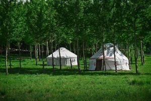 Kazachs voelde huizen Aan de kalajun prairie in xinjiang foto