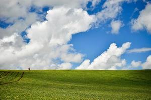 de eindeloos, groen kalajun prairie in xinjiang foto