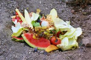 huiselijk verspilling voor compost van fruit en groenten in tuin. foto