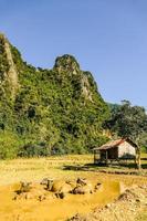 landelijk landschap in Azië foto