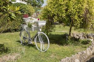 wijnoogst wit fiets met manden van bloemen in de tuin. mooi decoratie Aan een natuurlijk achtergrond foto