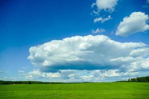 landschap in Zweden, Europa foto