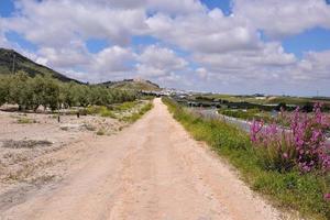 weg op het platteland foto