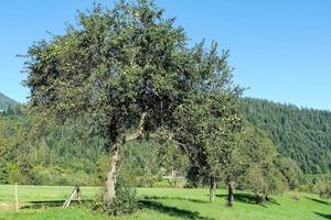 toneel- landelijk landschap foto