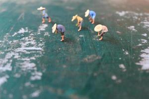 miniatuur figuren van boeren werken Aan een snijdend mat. concept van landbouw foto. foto