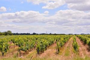 toneel- landelijk landschap foto