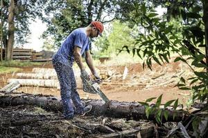 een Mens snijdend hout met een kettingzaag. foto