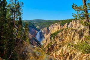 lager valt in yellowstone nationaal park foto