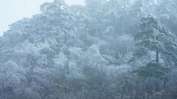 de mooi bevroren bergen visie bedekken door de wit sneeuw en ijs in winter foto