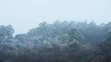 de mooi bevroren bergen visie bedekken door de wit sneeuw en ijs in winter foto