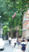 de stad straat visie met de op reis mensen in de stad in zomer foto