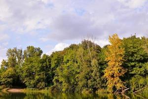 bomen langs de rivier- foto