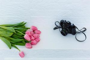 bundel van roze tulpen tegen wit achtergrond. foto