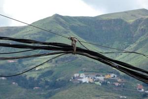 elektrisch kabels met berg achtergrond foto