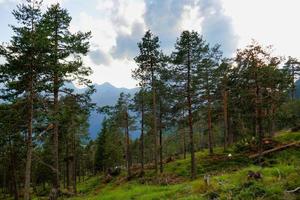 schilderachtige berglandschap foto