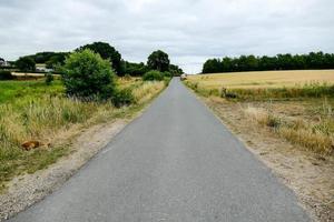 landschap in Zweden, Europa foto