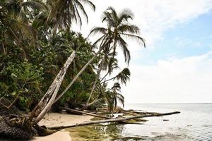 toneel- kust- visie foto