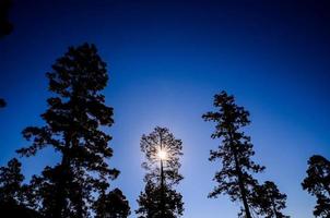 zonsondergang achter de bomen foto