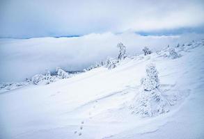 bergsneeuw en bevroren landschap foto