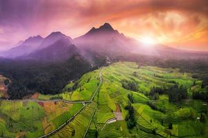 mooi ochtend- visie Indonesië. panorama landschap rijstveld velden met schoonheid kleur en lucht natuurlijk licht