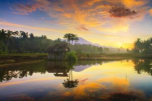 mooi ochtend- visie Indonesië. panorama landschap rijstveld velden met schoonheid kleur en lucht natuurlijk licht