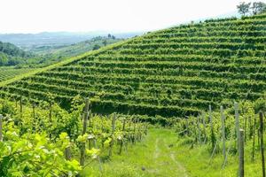 schilderachtige berglandschap foto