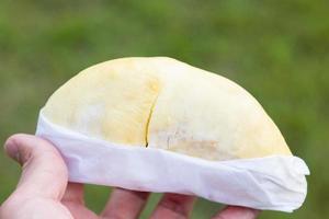 rijp durian fruit in een hand met een groene achtergrond foto